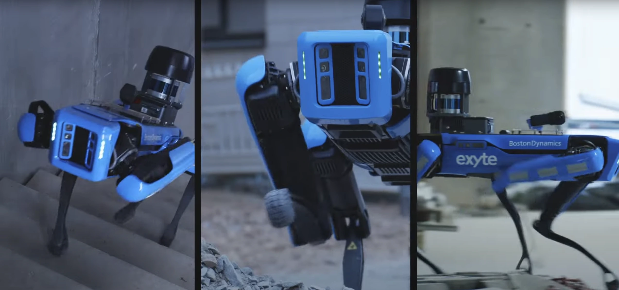 three images from a blue boston dynamic robot dog